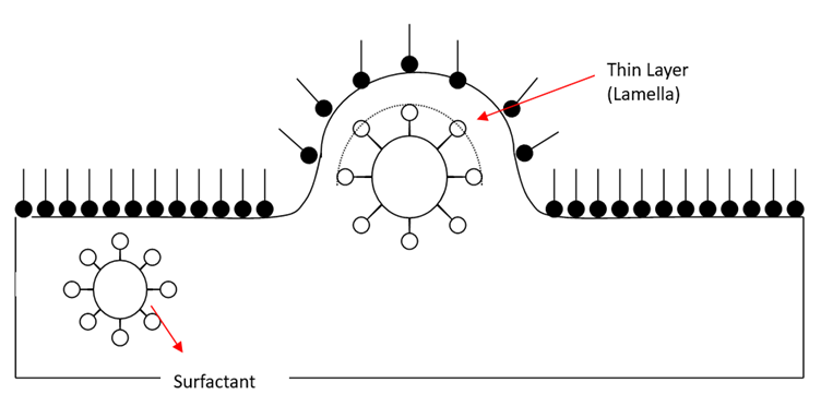 Breaking Barriers in Polyester Printing with Loop Accelerants offered by Nestor Industries